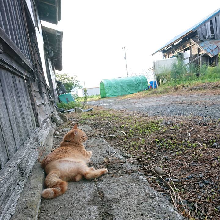 Ac63ba27 fb8b 471b bfad cabccc61a1e6 1657745473218