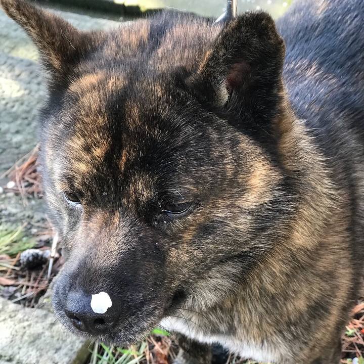 Ac63cce5 e66c 4717 8bce 0ae857f908ae 1522883847951