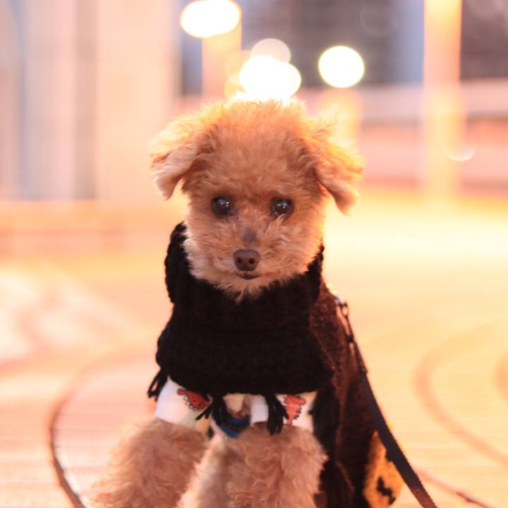 Ac63d645 eb01 4b69 9ec2 68a160b056b0 1635287279207