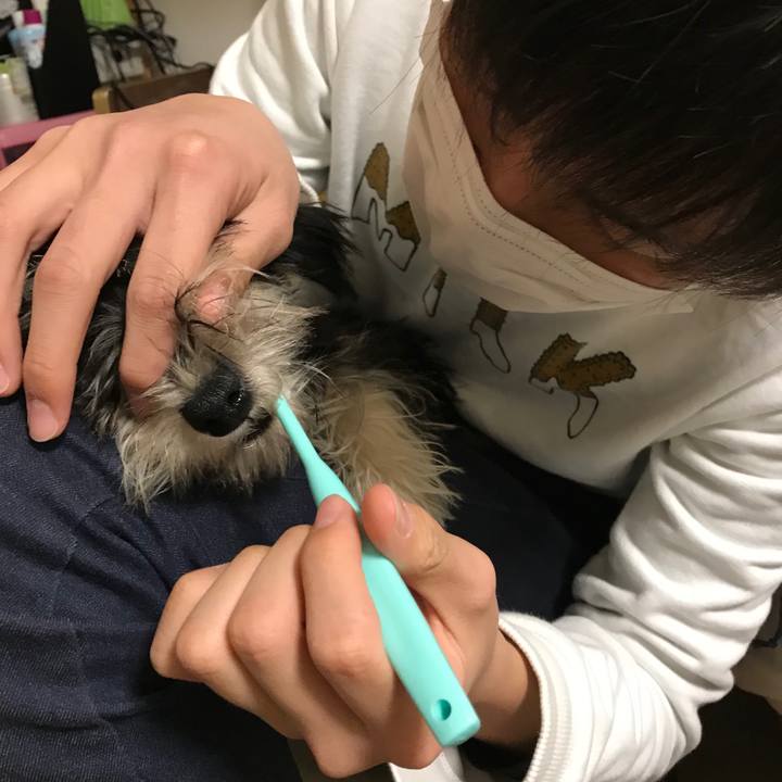 Ac63dc9f e60f 4012 9568 9a144dcbe00b 1550849340488