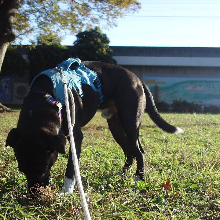 Ac640101 a587 416c b21c 576fa68ff7ea 1635466434759