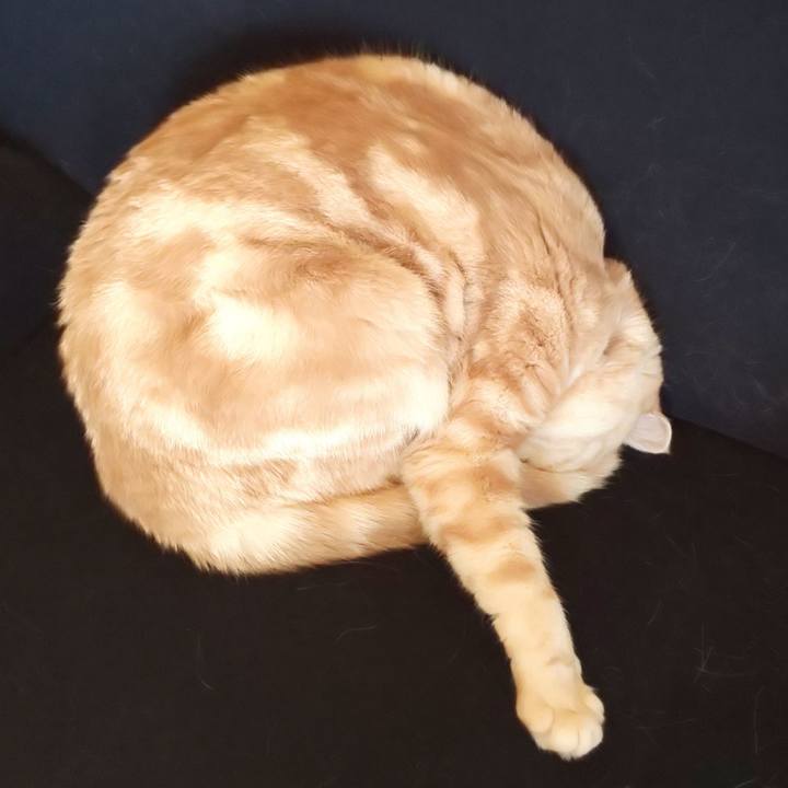 Ac640b02 321a 414e a4be 764791925220 1545802032277