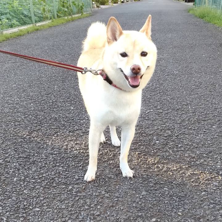 Ac641154 d432 490c ba06 be65ccf65214 1599604248621