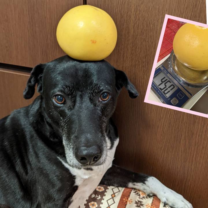 Ac641342 01a8 412d 86fc 07fe0ddadb54 1706698956426