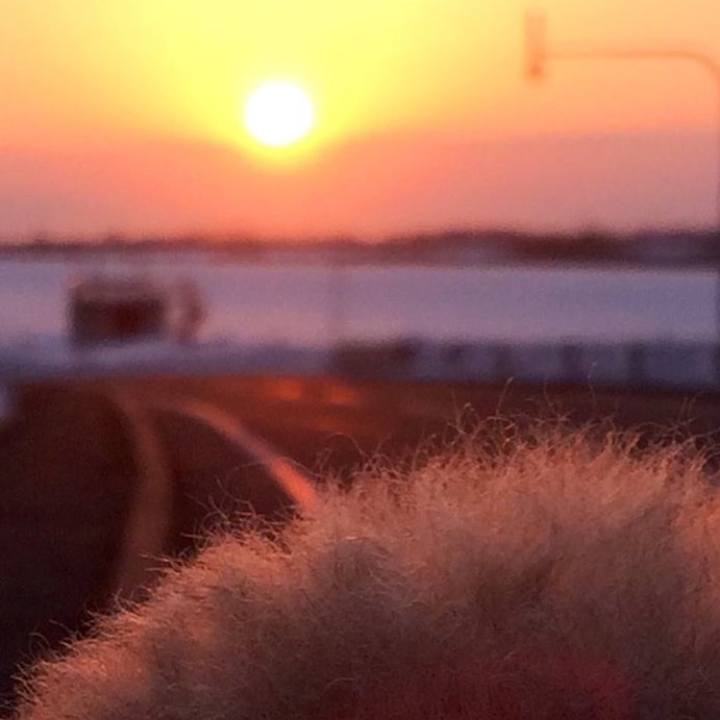 Ac642f2a 3788 462d 8ffb a8b71218583e 1520513387767