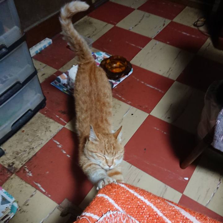 Ac643f92 6577 4536 9f80 6877e35d1ed7 1591384769442