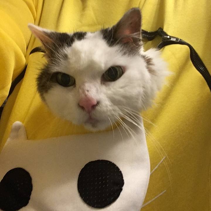 Ac64503d 93a4 46b8 b5d2 44989ed19435 1580265906283