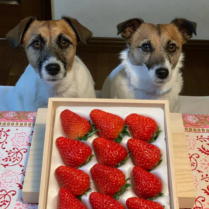 Ac6482a1 69c3 49e0 ba79 8a341471590d 1579270447237