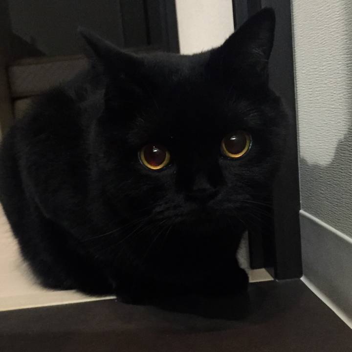 Ac64b232 683a 42f6 a0e6 e6fa5558607e 1537537704353