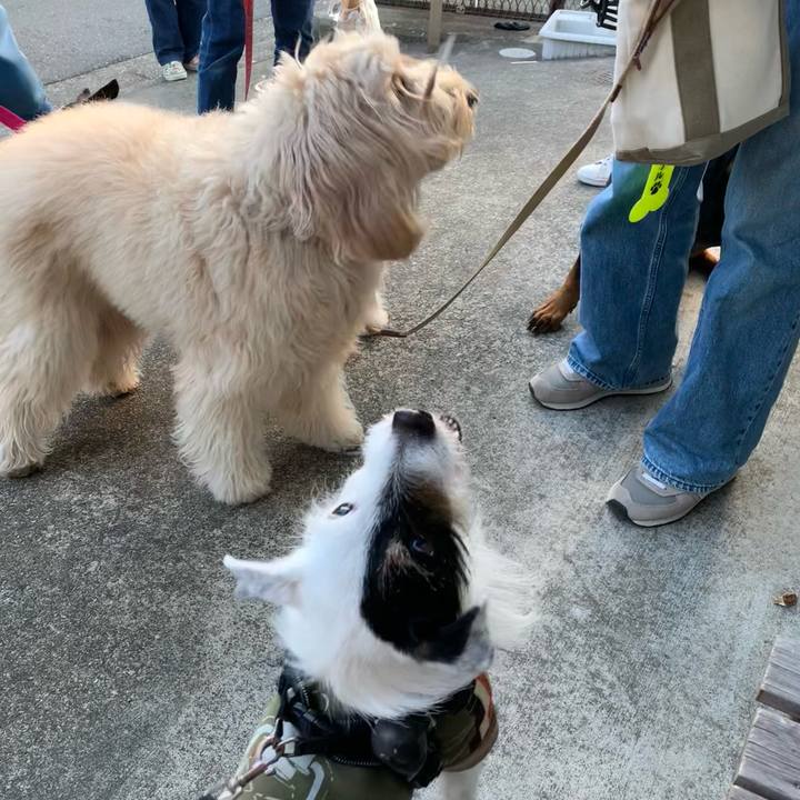 Ac64b662 1349 4c01 9bde ec349f328422 1710060077734