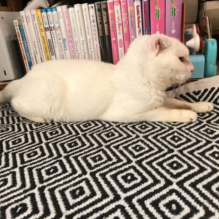 Ac64d2ba 2e2c 49bc 9682 c63823075080 1531868795927