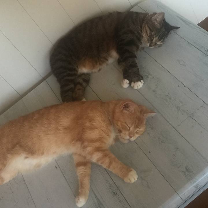 Ac64d6e7 f360 415a 8c79 20ab7e54c9d8 1570257318544