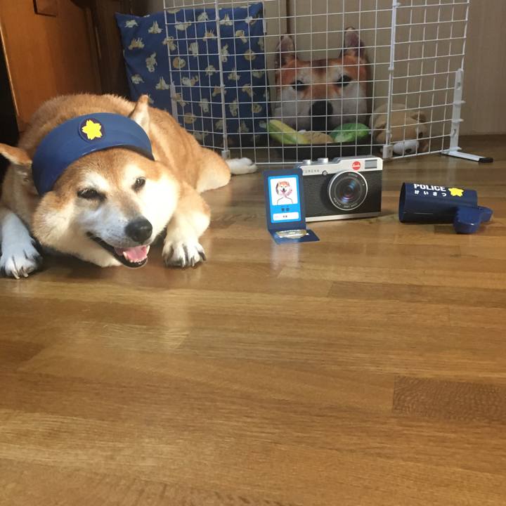 Ac64eb28 9d26 48b7 ad6e a030bf8af8b8 1630023423157