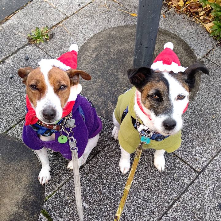 Ac651260 09f7 4217 9c45 8c81ba3ad012 1640389958703