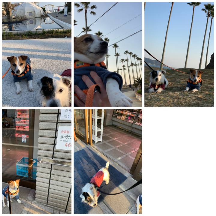 Ac652355 a997 4a6a 905c 3e24cf2c0654 1612684937956