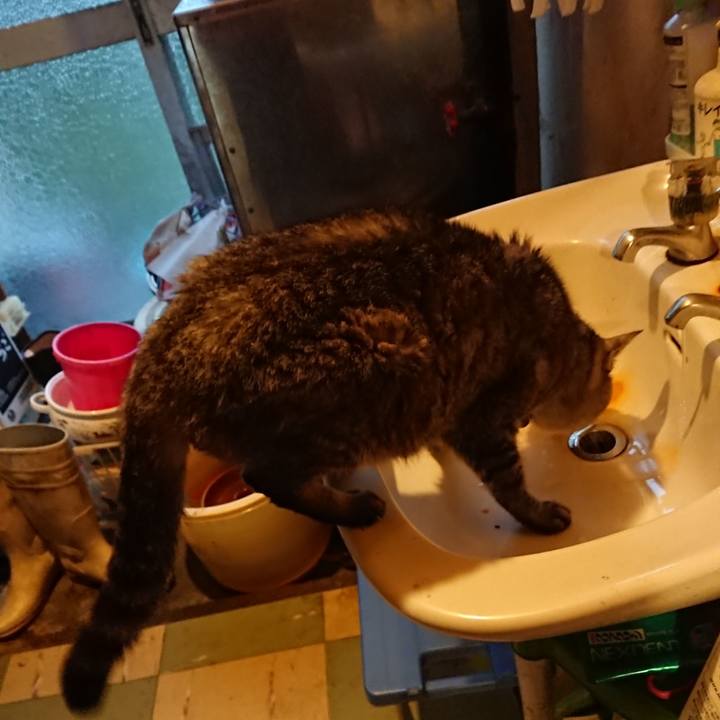 Ac6524be 3e64 462b b121 d701857868f0 1572382982319