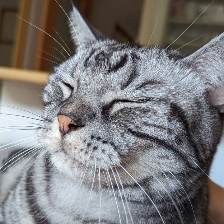 Ac65271b 3e92 4abd 9956 2912bd3c4a6c 1704017982696