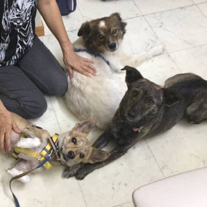 Ac6536c9 bca9 4dc2 9cd9 c99f5f5d2d58 1556116506040