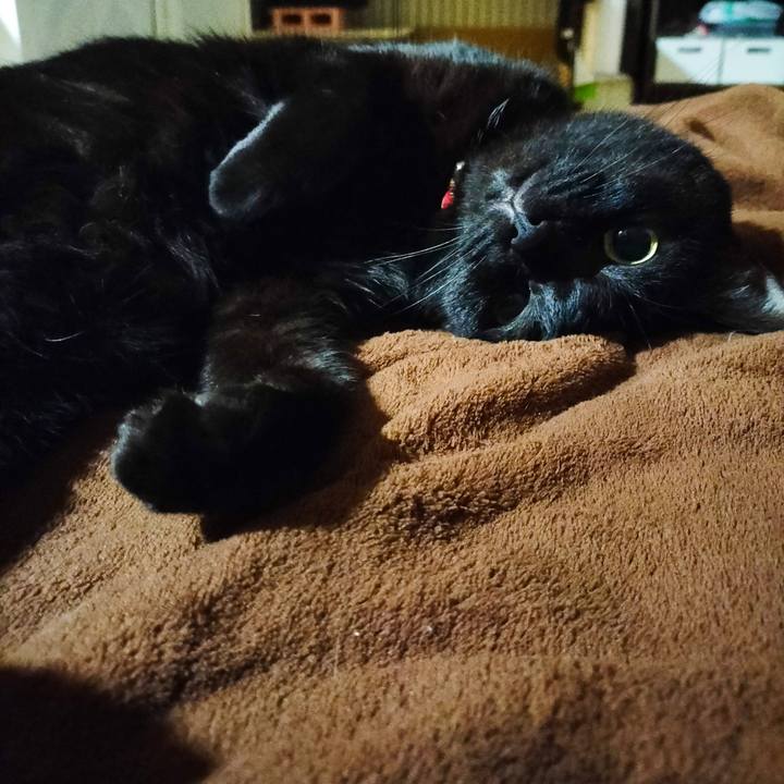 Ac6556b5 a69f 4697 b894 a480dd53886c 1668339410257