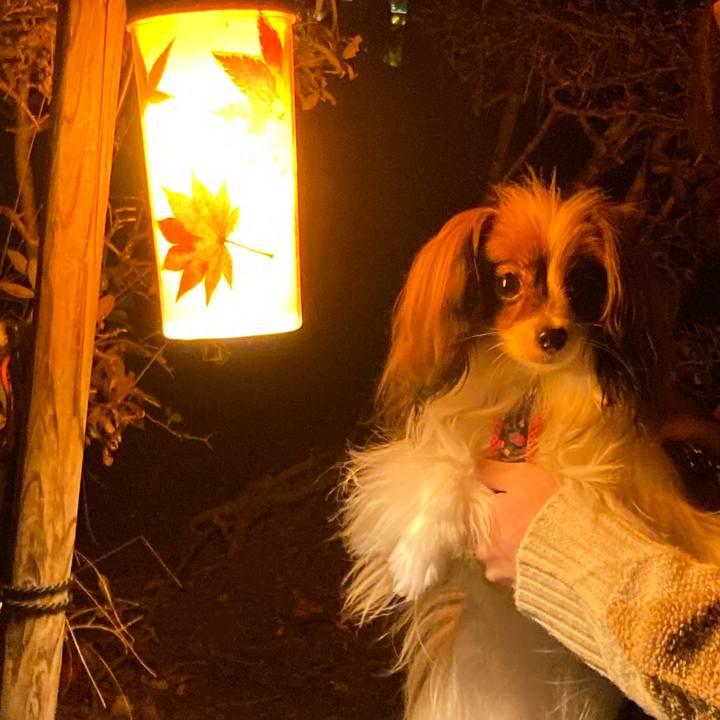 Ac6568ba b6cb 4623 ac0b 280ef85a036d 1635075751755