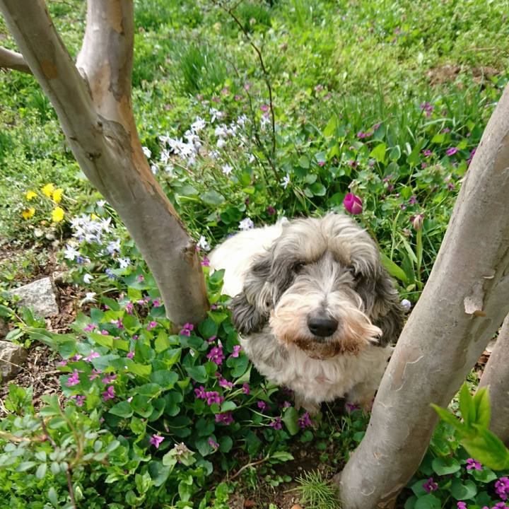 Ac65cac8 d5d1 4cd2 bd8f ff3814ea9a38 1556866502508