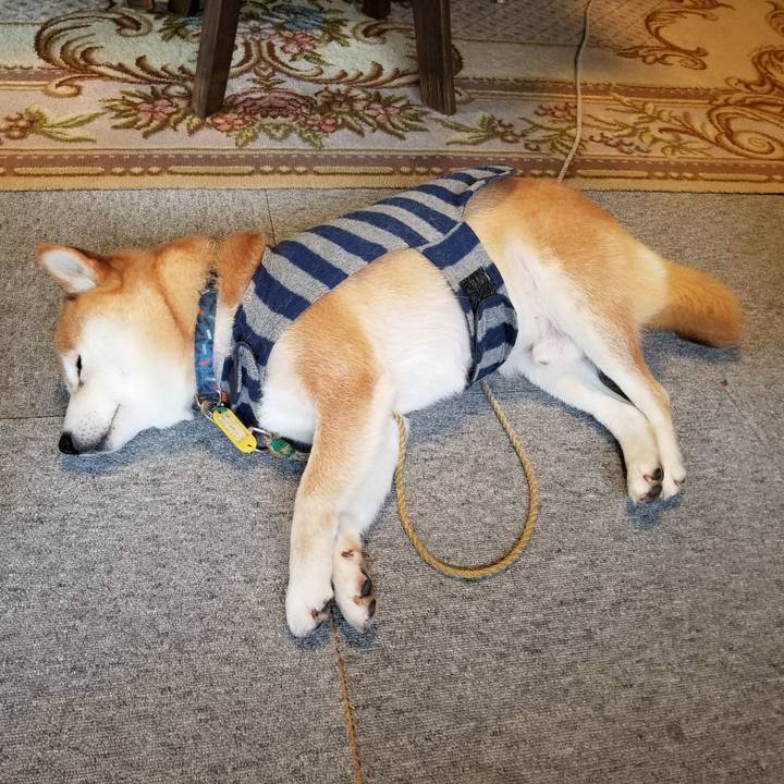 Ac65cdb7 821a 42aa 9477 9ca1ad466b82 1579995035114