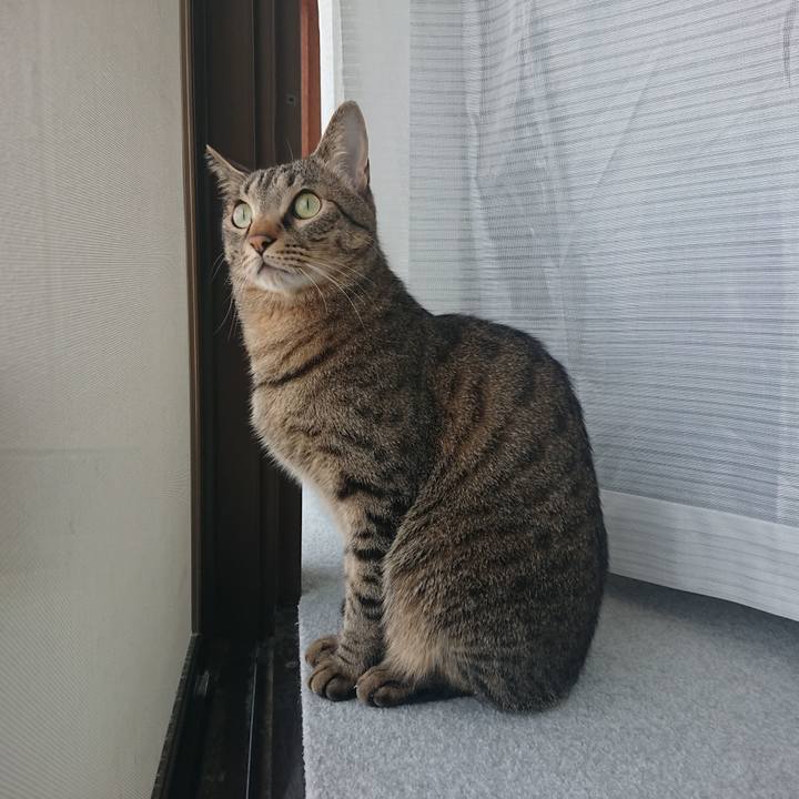 Ac65dd06 7d45 4d38 bb5e 78d387ccaf75 1524273732461