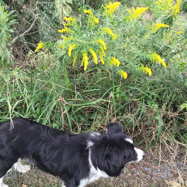 Ac65eeeb 2caf 480e 86fb 72c508f2ea54 1539219261281