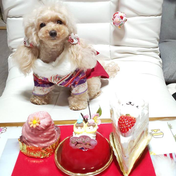 Ac65fd4b 1f42 4de9 bf12 3911a824f14f 1583237646035