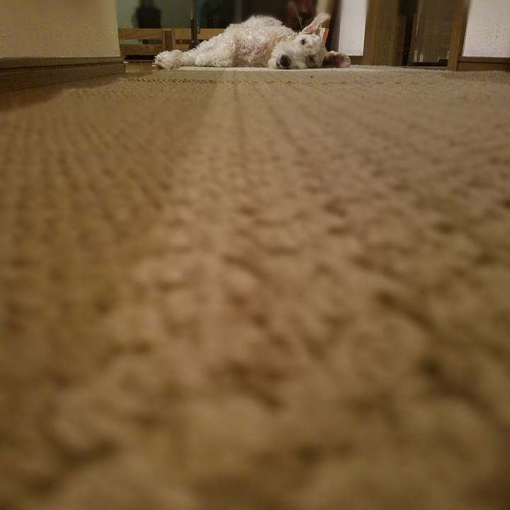 Ac65feae 803b 4743 ae29 13033174391a 1538748426484