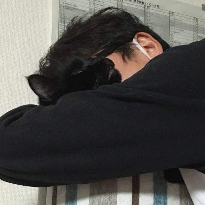 Ac6613a6 88f0 44fd b7dd 4ed145ead822 1546430111557