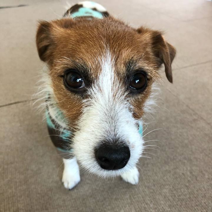 Ac663377 46f8 455e b86c ab3060f826c8 1515849610226