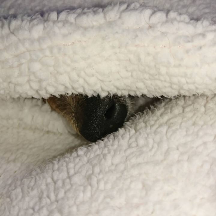 Ac663703 6426 41d5 a597 2bfa3341e36f 1508507824554