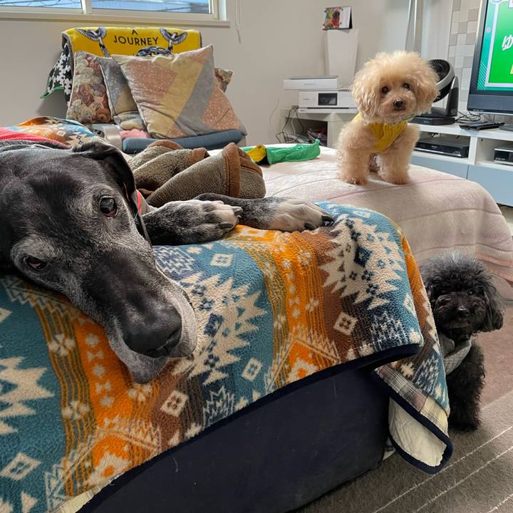 Ac6642d3 cfe4 4029 9a88 3e25a724c683 1640212700011