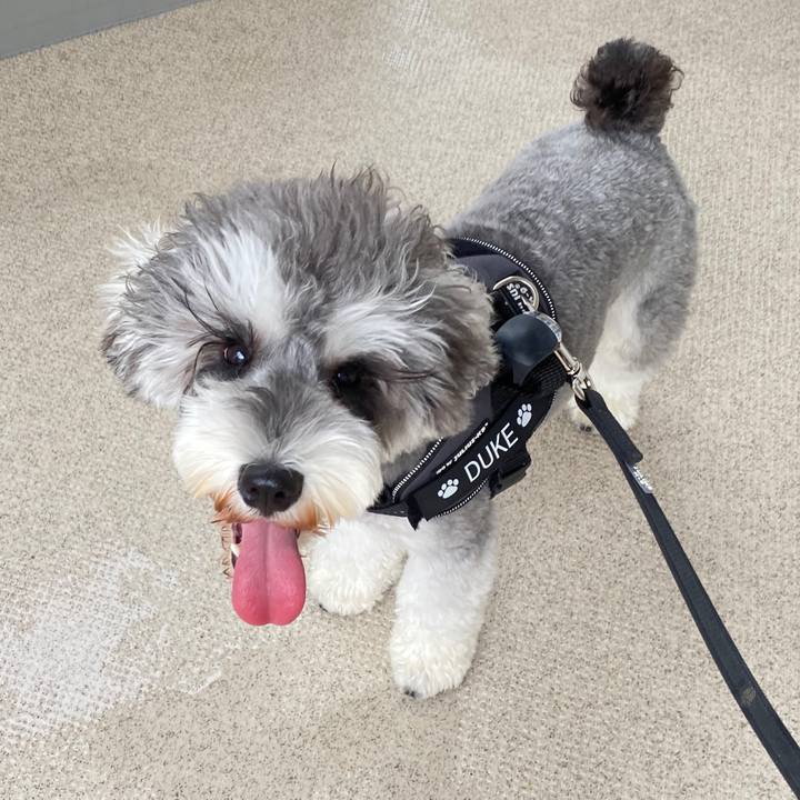 Ac664d22 f813 45e1 ac49 b2535b3c40aa 1594446452410