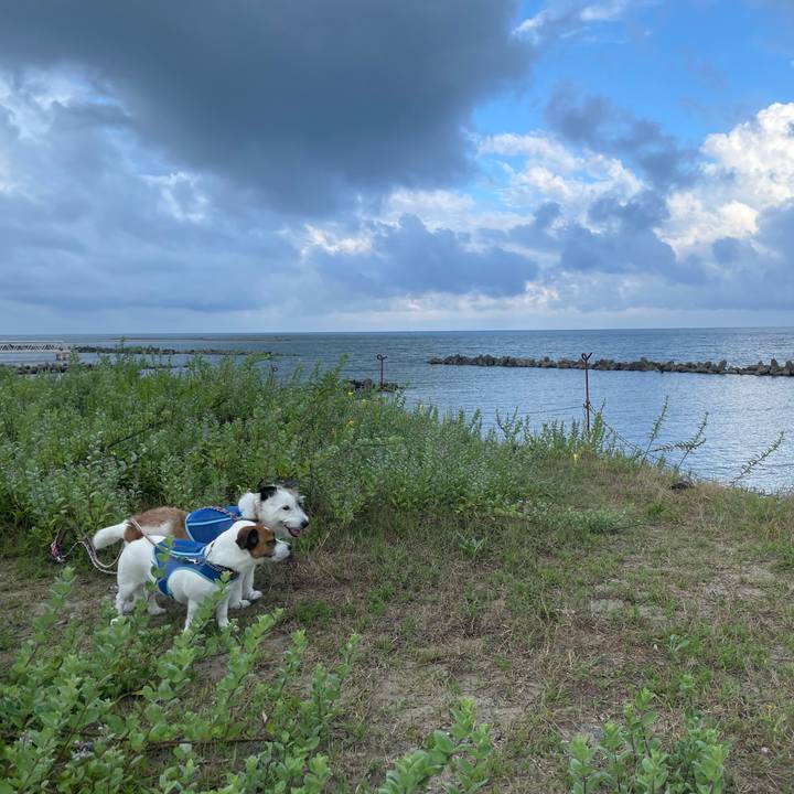 Ac66769b 6a96 4d42 85b8 a3f49864ad57 1755213927406