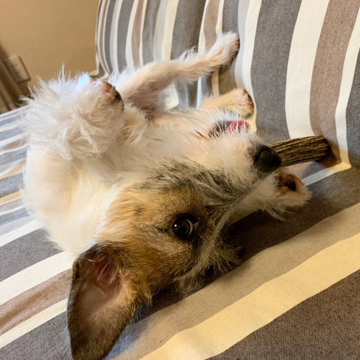 Ac66d6f0 f235 4f7b 9433 bb340f417869 1575244815433