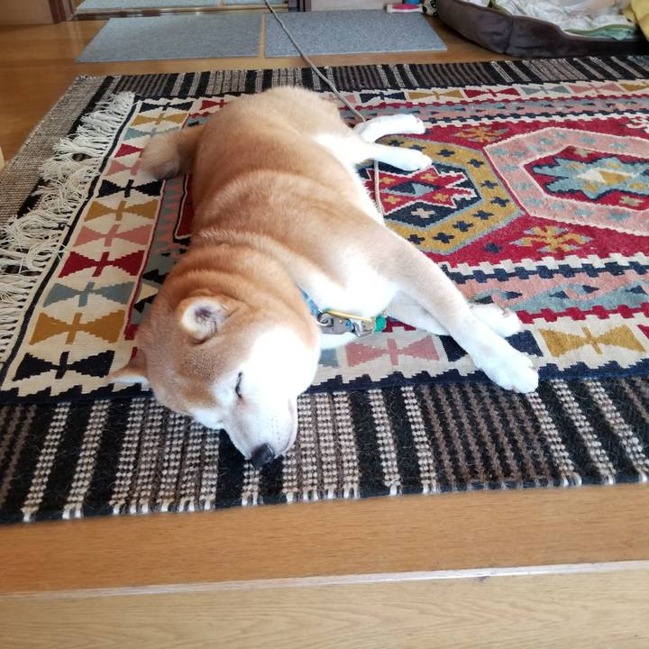 Ac66e0bf 223d 4606 b0d5 928e4f350a21 1569982895404