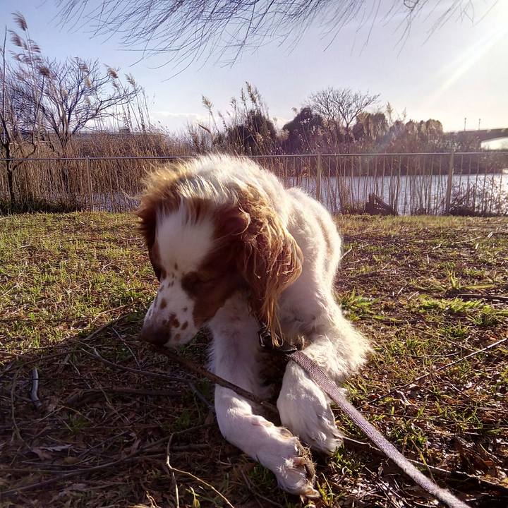 Ac673c00 ee61 458e 87e1 2c5a65cd32e5 1518336833036