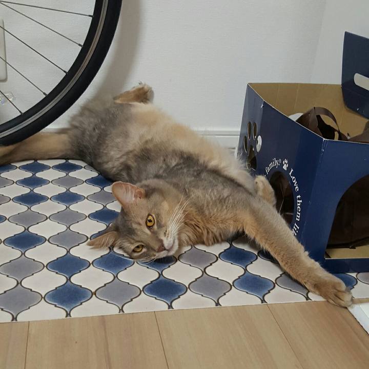 Ac679560 416b 4937 8c87 99ef871d5281 1534686460868