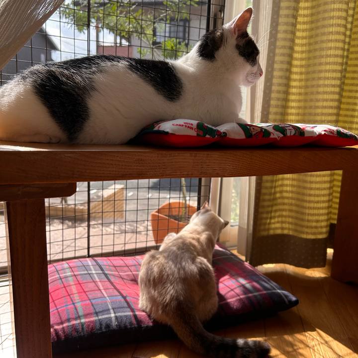 Ac67b136 a3f1 4ede 892e b45ddc5ec4f0 1762765881054