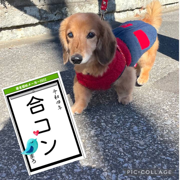 Ac67bda4 0e52 4b19 9e94 cd53bc9477af 1641216575934