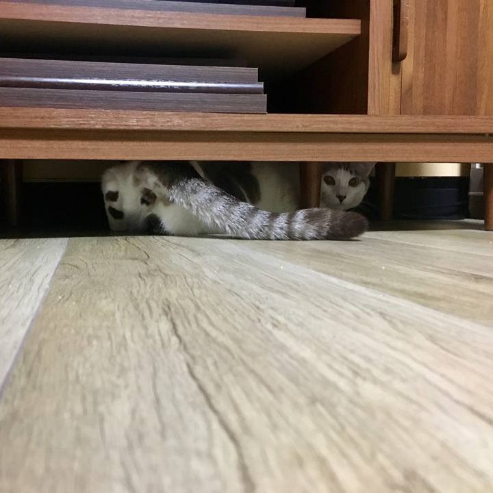 Ac67d422 7915 4e0b 9ab1 9e9744f51ec9 1548665886311