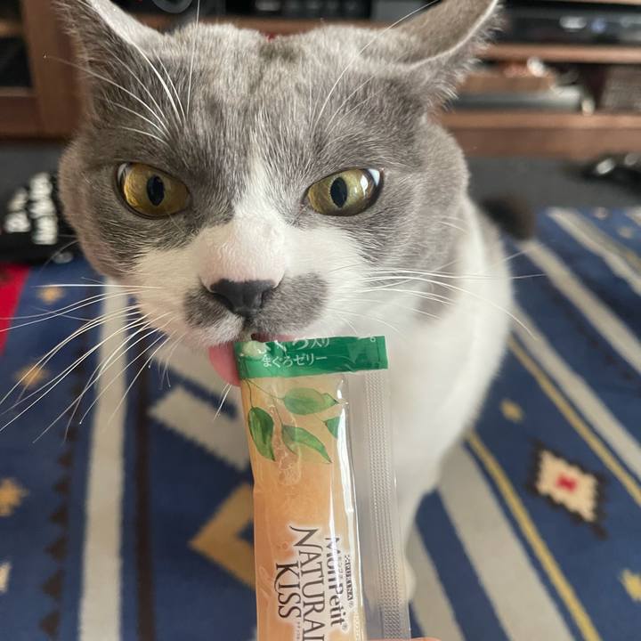 Ac68125d 6225 4478 b957 74574133aa87 1668665337190