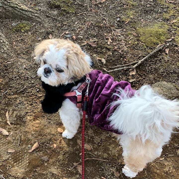 Ac68463d 9cdc 4cff 8a64 11f23428fd62 1519940543318