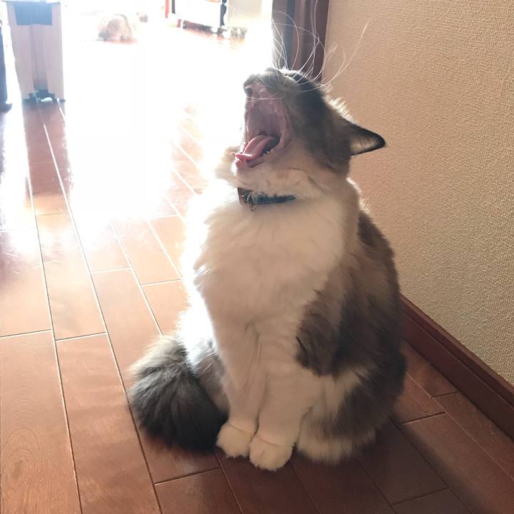 Ac68664a e4d0 464f 90a9 a833cceace69 1512514655041