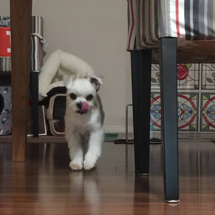 Ac688871 f5ef 4fd5 aa9e dcdb4b604882 1541160500055