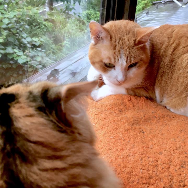 Ac688a6b ff72 4bf4 acff 79211848c70b 1563098903025