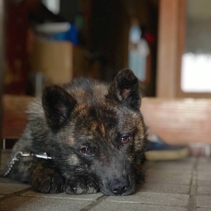 Ac68f05a 43be 4808 8d70 854994e5aadc 1531126588204