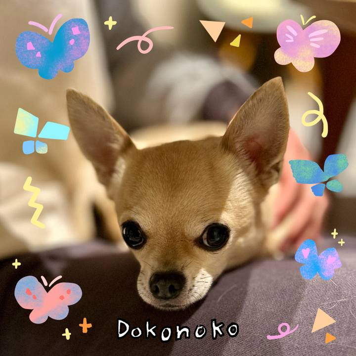 Ac690c66 52ef 4107 b544 9543c4b7877c 1711253842374